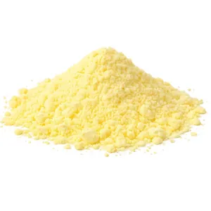 alpha-lipoic-acid-i